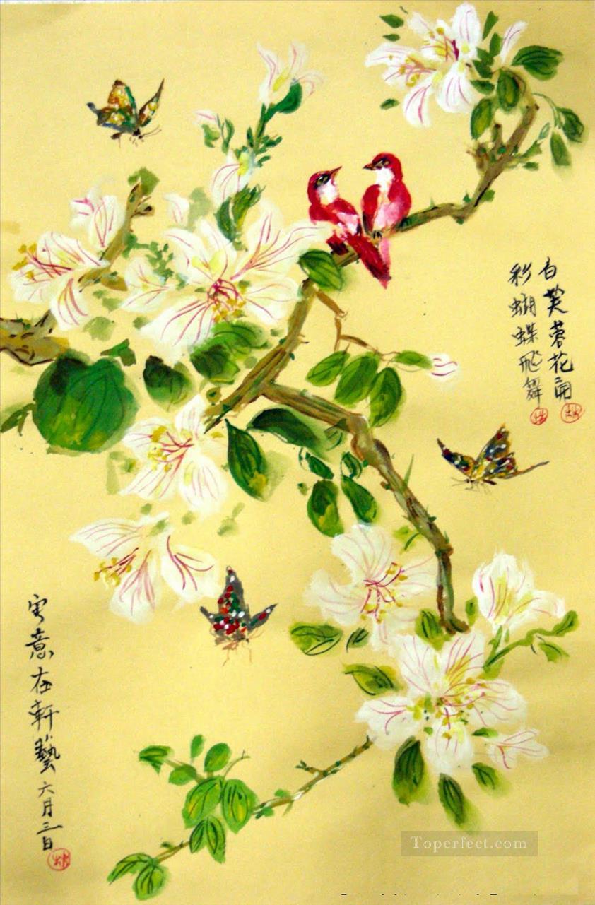 blossom flowers birds butterfly Chinese Oil Paintings